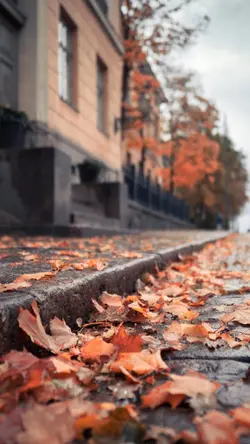 linda reflexión 