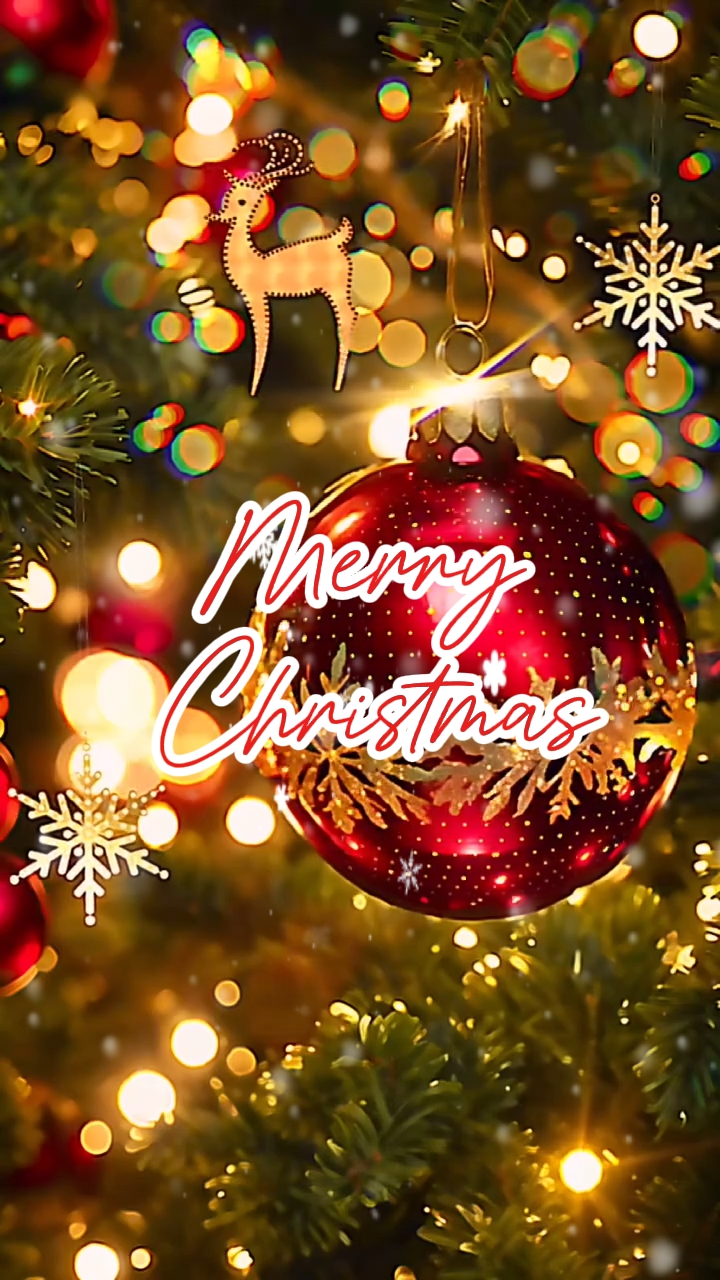 Feliz Natal
