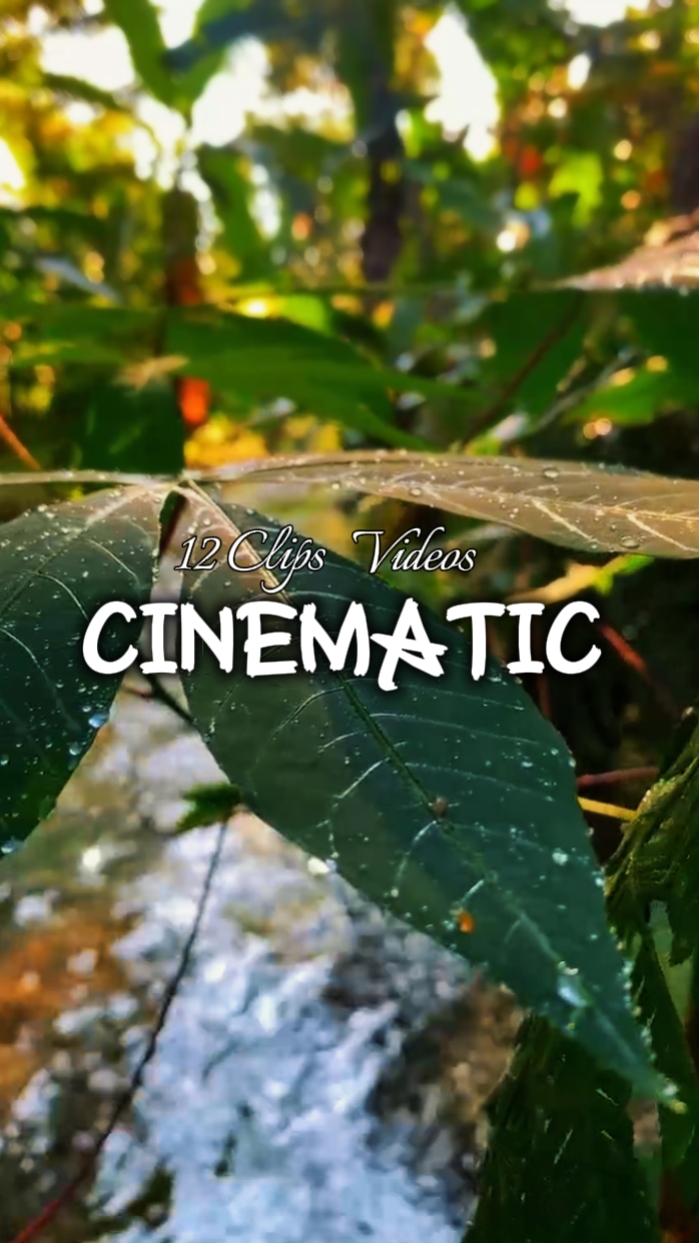 12 Clips Cinematic 