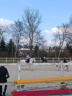Pokaż konia