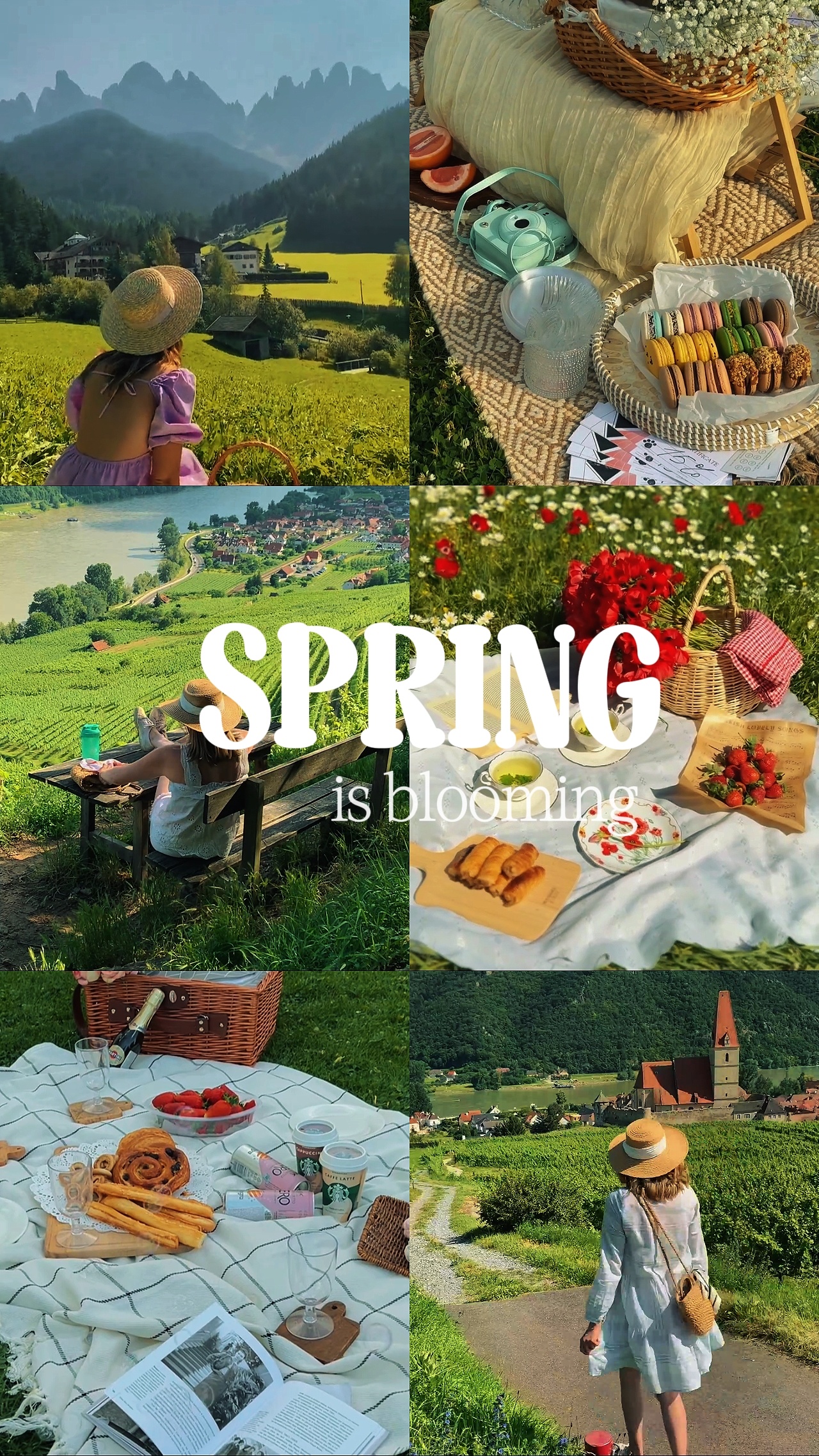 spring is blooming