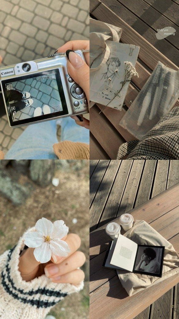 Cover Picture