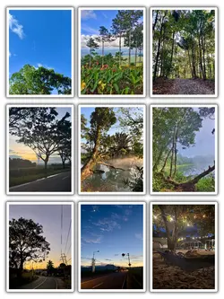 9Pic Trans Aesthetic