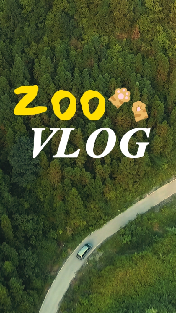 zoo vlog 