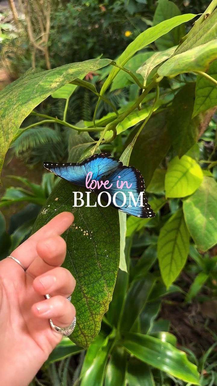 Amor en flor