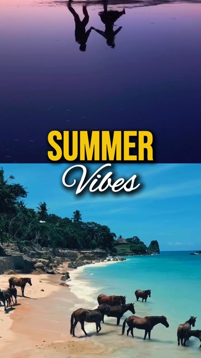 Vibrações De Verão 