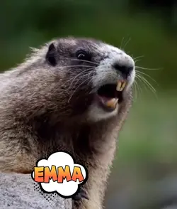 EMMA