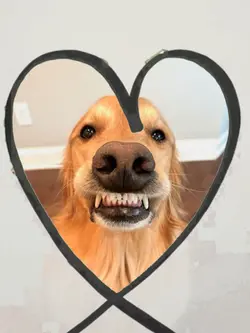 heart draw 