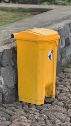 Masih Kici Kici Nona