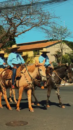 Cavalgada