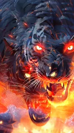EFECT  TIGERS