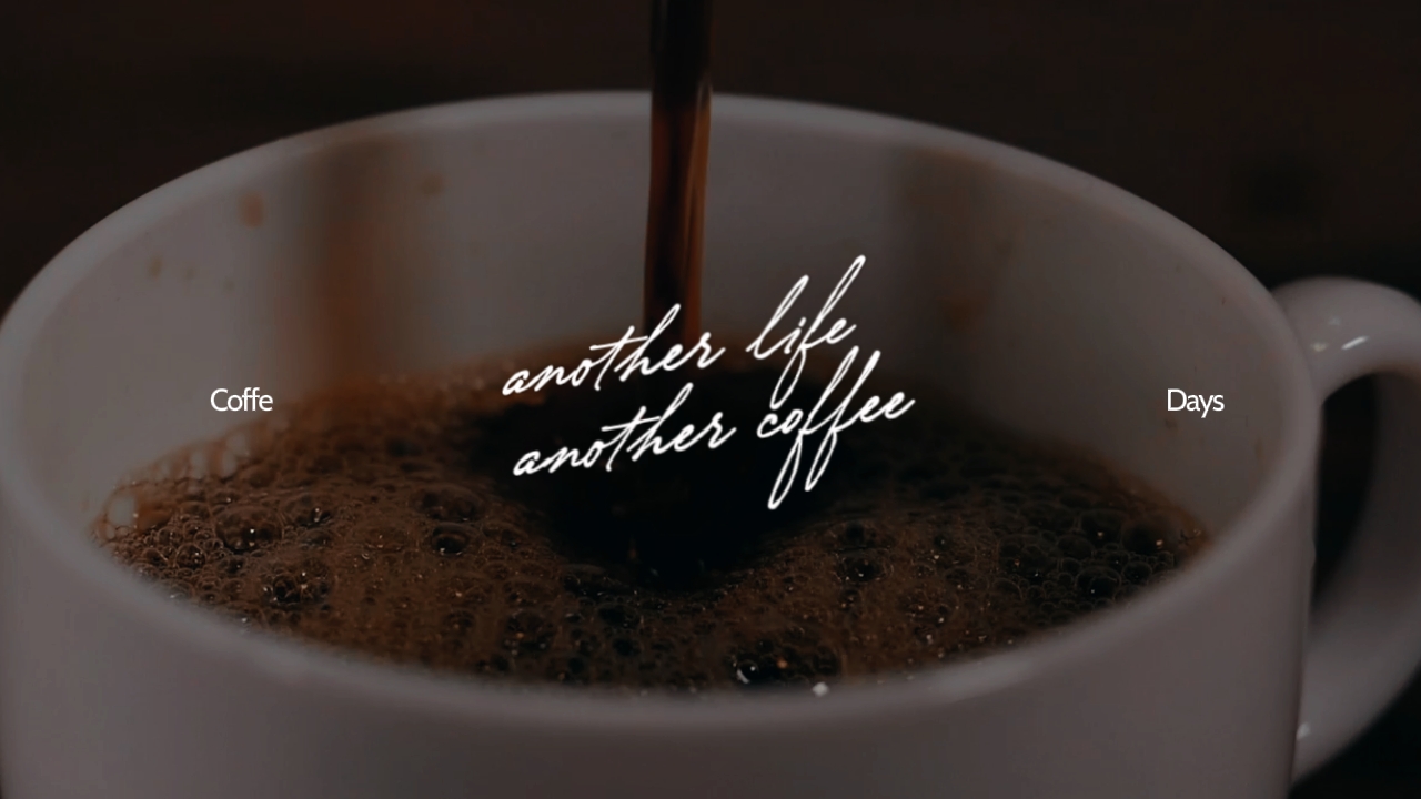 Vlog: dias de café
