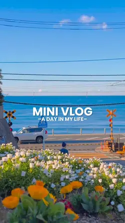 Minivlog aesthetic 