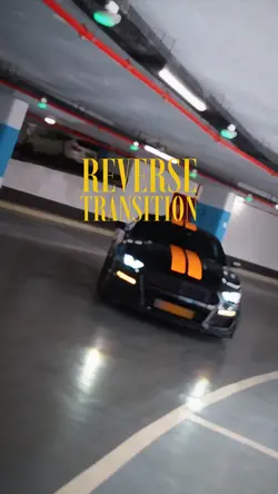 Reverse Transition