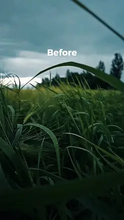 Before and after