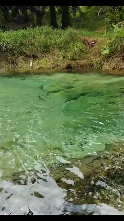 alam semula jadi