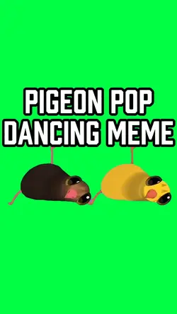 PIGEON POP DANCING