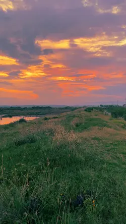 filter senja