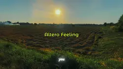 Altero Feeling