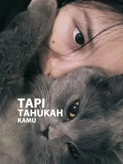 Tapi Tahukah Kamu?