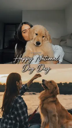 Happy National dog 