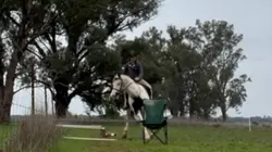 Bad pony 