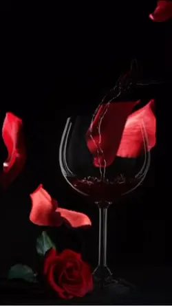 ♥️AMOR BONITO 💔