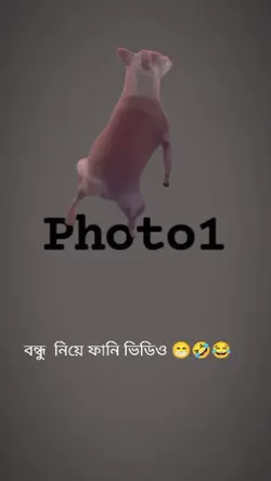 New Trending 