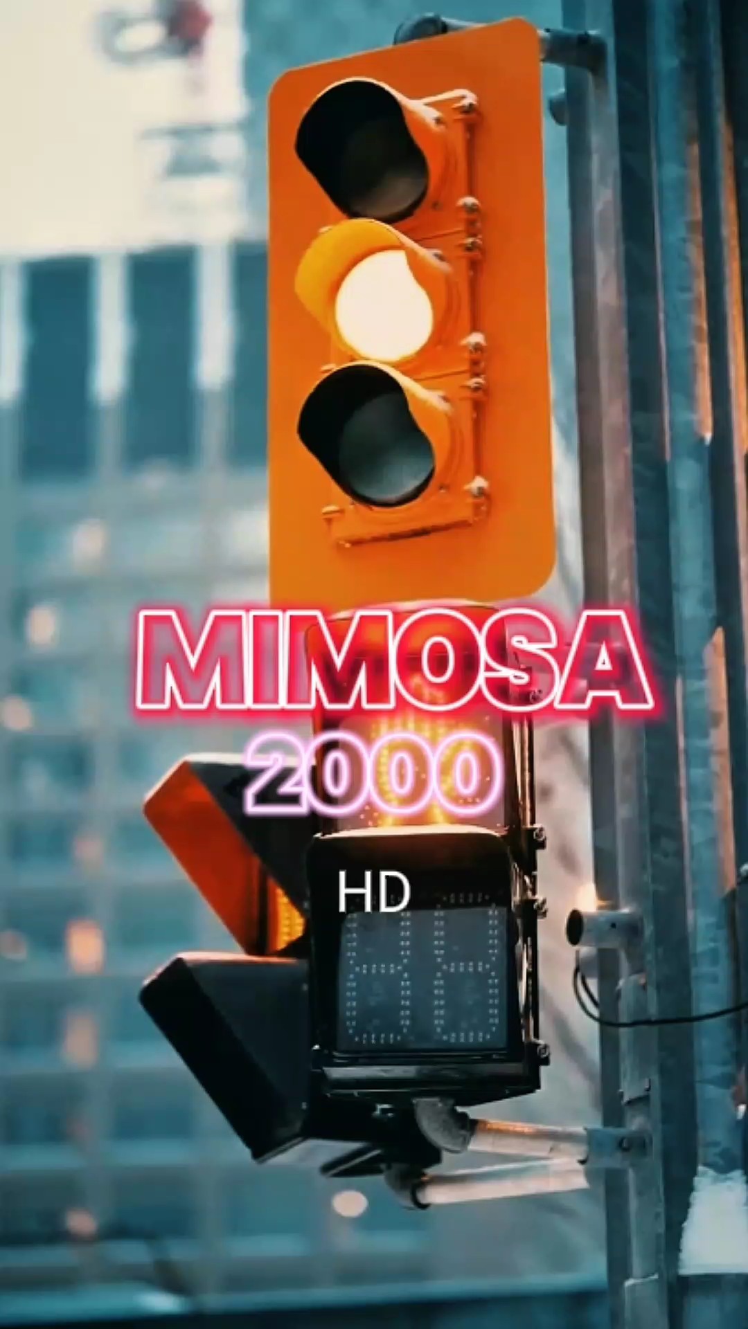 Mimosa 2000
