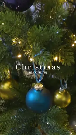 Christmas is coming 