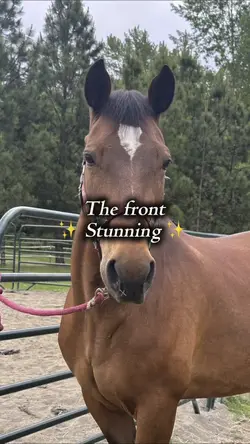 glorious