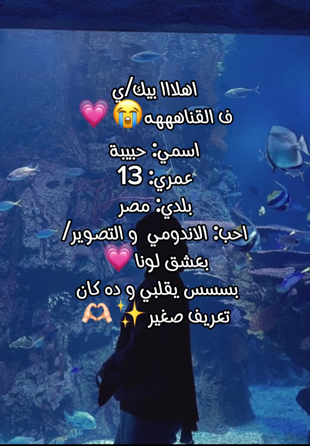 مجرد تعريفنورت/ي