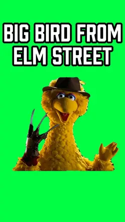 BIG BIRD FROM ELM ST