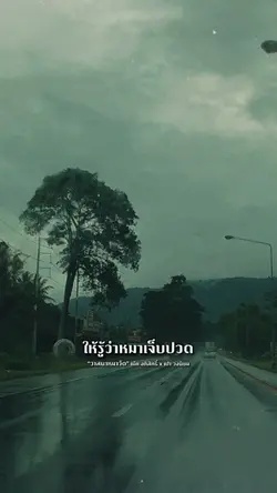 วาสนาหมาวัด