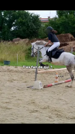 T'es fan de qui ?