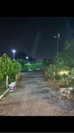 ดวงตานั้น :อภิรมย์