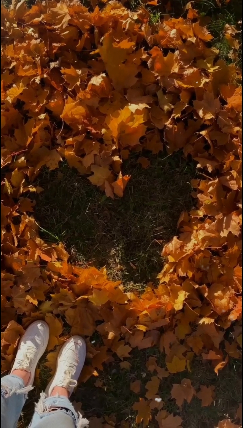 Autumn Dump 2024