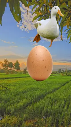 funny happy birthday