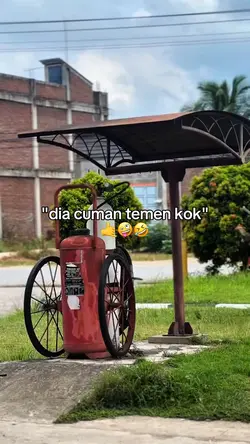 Cuma teman?
