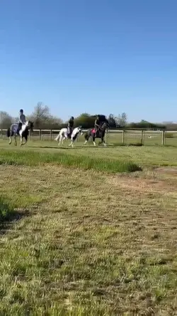 casp was perf tdy by