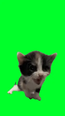 Sakadung kading padu
