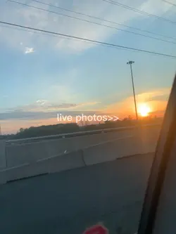 live photos!