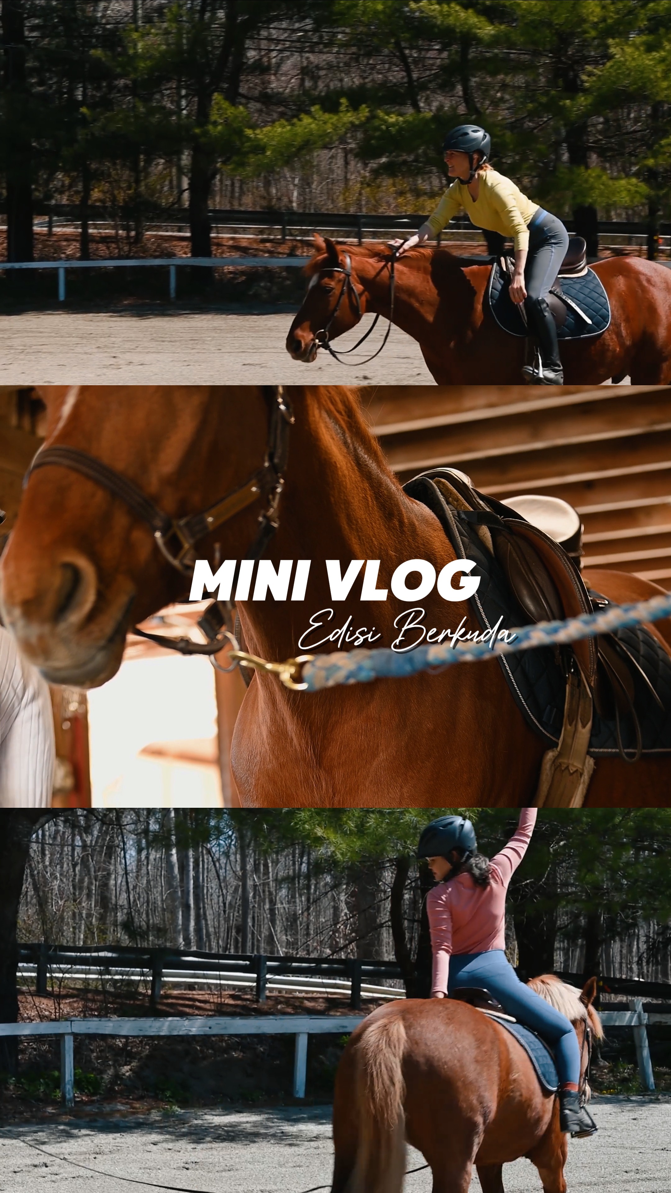 MINI VLOG BERKUDA