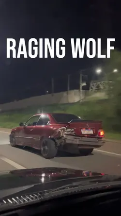 Raging wolf