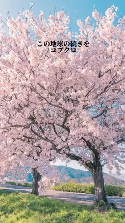 この地球の続きをコブクロ万博