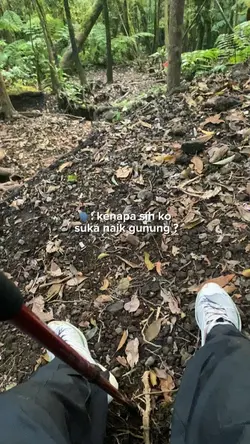 pendaki gunung