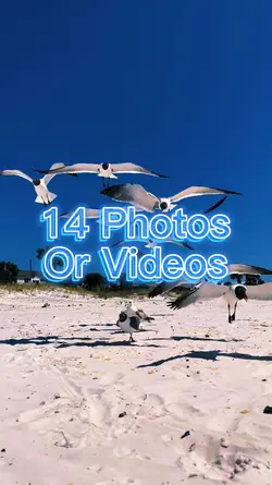 14 Photo Slides