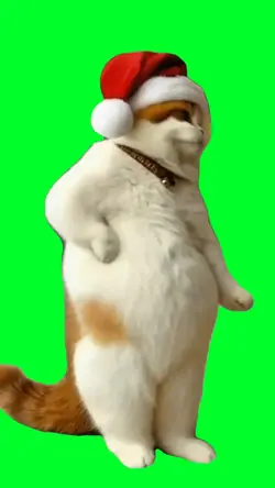 Christmas cat dance