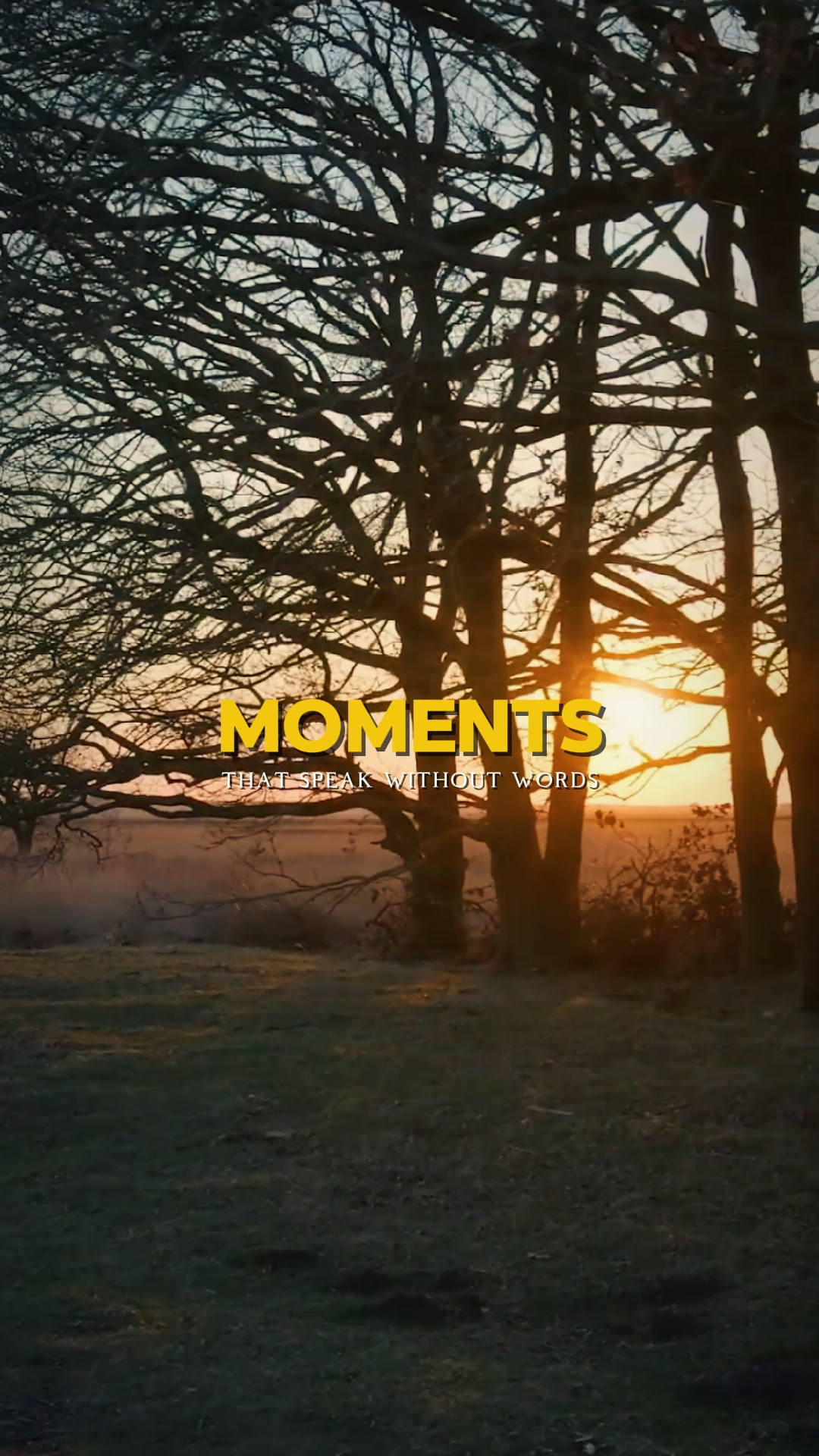 cinematic emotional