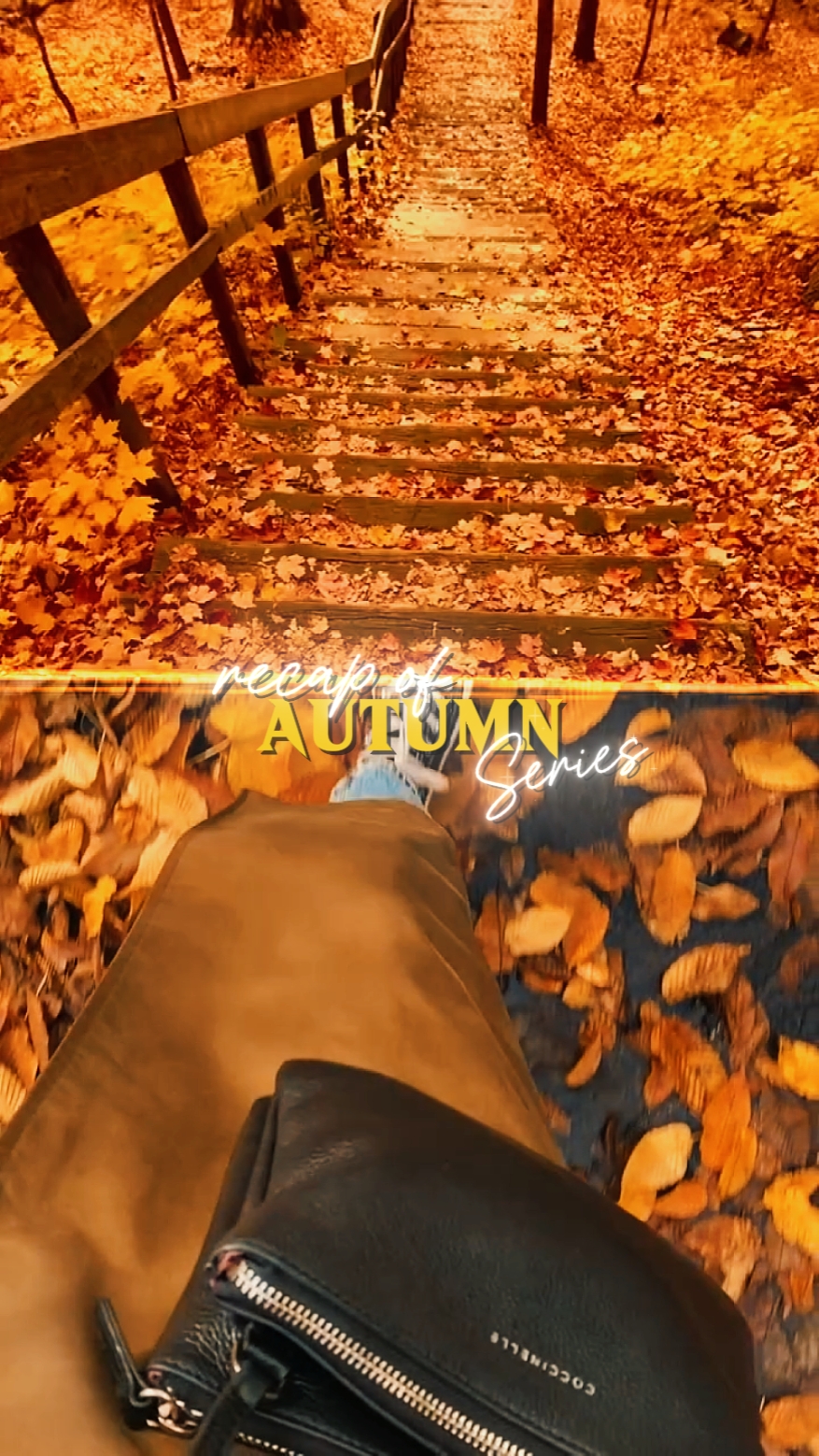 SERIE DE OTOÑO